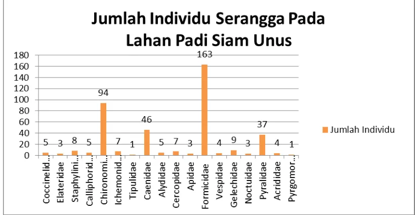 Gambar 5.2 Diagram Batang Jumlah Individu Serangga Pada Lahan Padi   Siam Unus. 