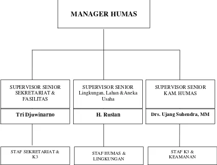 Gambar 3.3 Struktur Organisasi Humas PT. Indonesia Power UBP Saguling 