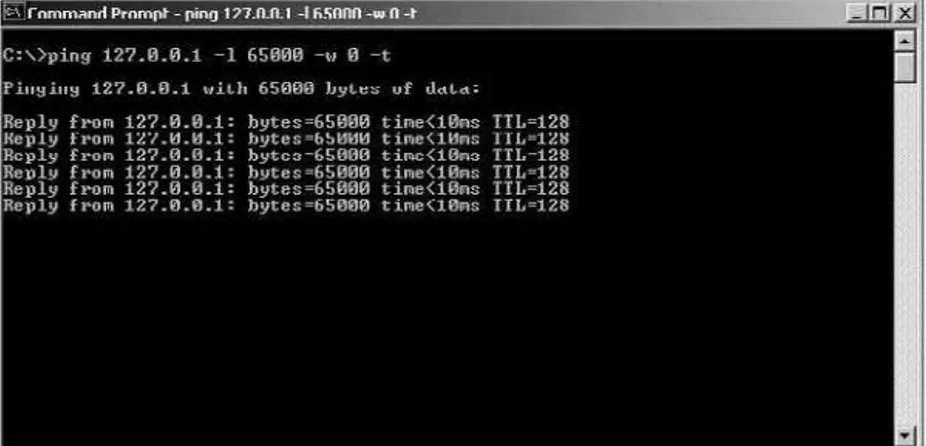 FIGURE 4.1 Ping from the command prompt.