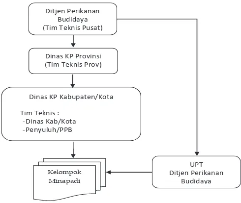 Gambar 1. Struktur Kelembagaan Kegiatan Budidaya Minapadi 