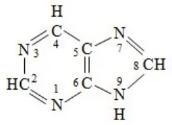 Gambar 2.3 Struktur purin.