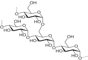 Gambar 2. Struktur Molekul Amilosa 