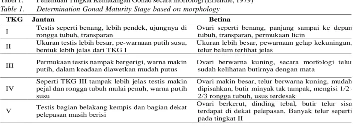 Tabel 1. Penentuan Tingkat Kematangan Gonad secara morfologi (Effendie, 1979)