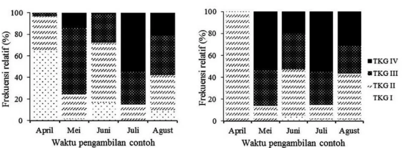 Gambar 6. Komposisi tingkat kematangan gonad ikan lemuru jantan (a) dan betina(b) berdasarkan waktu pengambilan contoh.