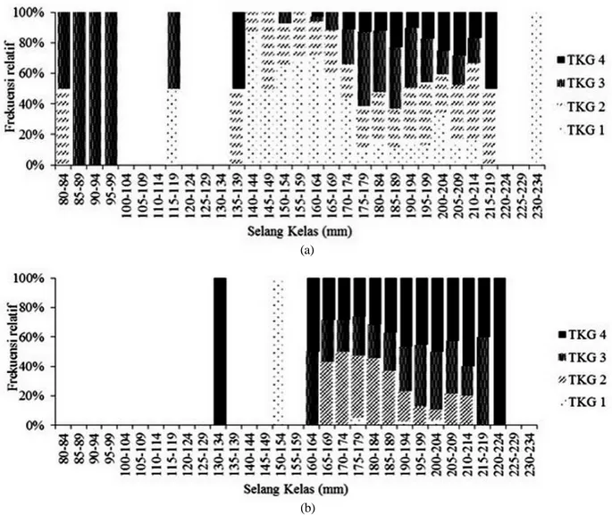 Gambar 7. Komposisi Tingkat Kematangan Gonad ikan lemuru jantan (a) dan betina (b) berdasarkan kelas ukuran panjang.