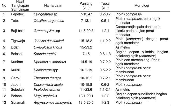 Tabel 3  Morfologi hasil tangkapan sampingan 