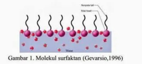 Gambar 2.3 Molekul Surfakatn (Gevarsio, 1996) 