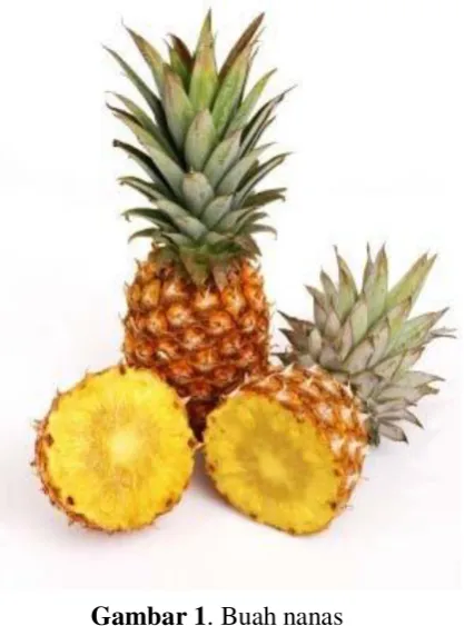 Gambar 1. Buah nanas 