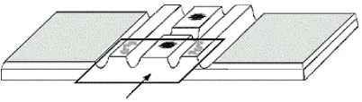 Gambar 1- Penutupan haemacytometermenggunakan gelaspenutup. 