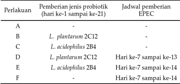 Tabel 1.  Perlakuan pemberian probiotik dan E. coli enteropato- enteropato-genik  ( EPEC)