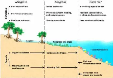 Gambar 1. Fungsi dan peran tiga ekosistem laut tropis  