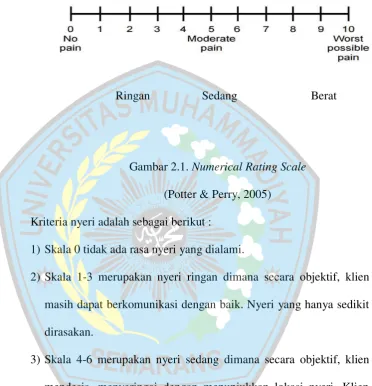 Gambar 2.1. Numerical Rating Scale 