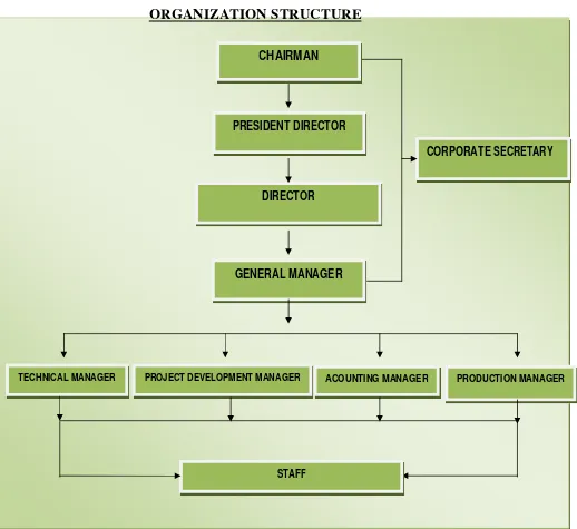 Gambar 4.1 Struktur  Organisasi pada PT. Asia Paragon Bandung      