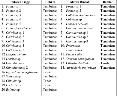 Tabel 4.1 Jenis-Jenis Jamur Kelas Basidiomycetes Yang Diperoleh Pada Dataran Tinggi 