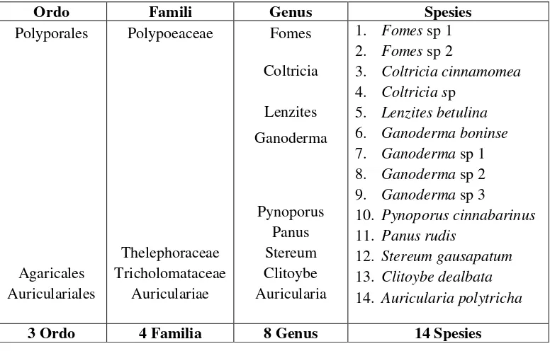 Tabel 4.3 Komposisi Taksa Jamur Kelas Basidiomycetes Yang Diperoleh Pada Dataran 
