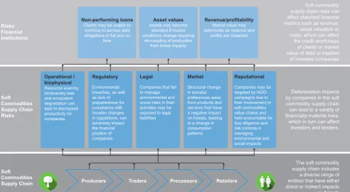 Figure 1: The impact of inance lows on forests and the risks created for inancial institutions7
