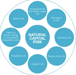 Figure 2: Overview of risks linked to business impacts and dependencies on natural resources