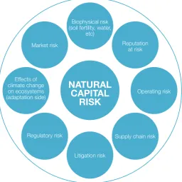 Figure 2: Overview of risks linked to business impacts and dependencies on natural resources