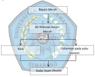 Gambar 3. Kerangka Teori 