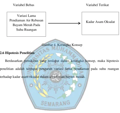 Gambar 4. Kerangka Konsep 