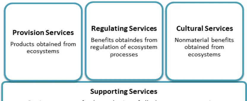 Figure 3. Ecosystem Services (MEA, 2005) 