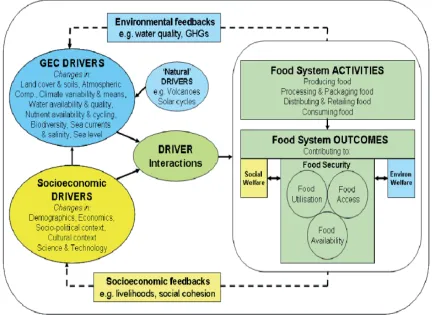 Figure 5. Interactions between ecosystem services and food security (Ericksen et al., 2010) 