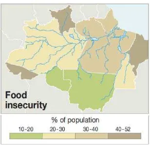 Figure 7. Food insecurity in the Brazilian Amazon in 2004 (Source: UNEP, 2009) 