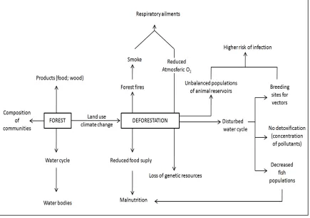 Figure 1. Effects of Amazonian deforestation on human health. 
