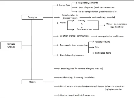 Figure 2. Effects of climate change on human health in the Amazon. 