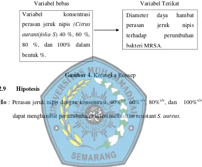 Gambar 4. Kerangka Konsep 