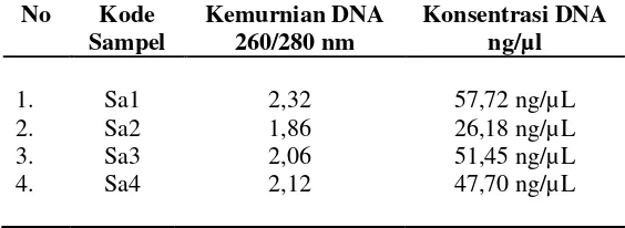 Tabel 1. Hasil Kuantifikasi DNA pada empat sampel bakteri MRSA