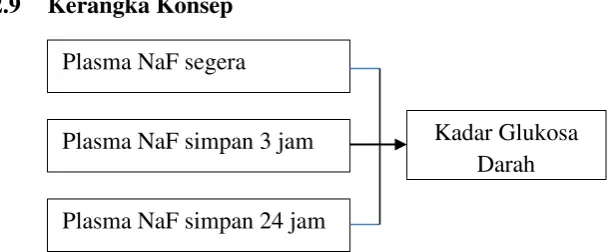 Gambar 4: Kerangka Konsep 