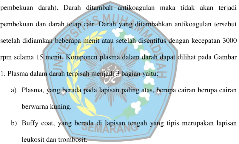 Gambar 1. Komponen plasma darah  