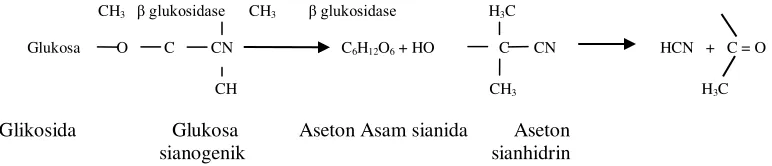 Gambar 2 : Reaksi pembentukan asam sianida  