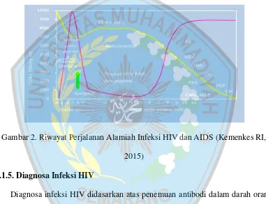 Gambar 2. Riwayat Perjalanan Alamiah Infeksi HIV dan AIDS (Kemenkes RI,