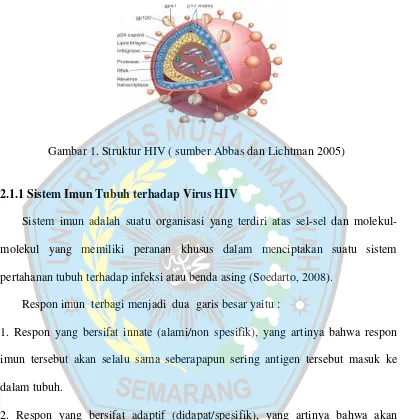 Gambar 1. Struktur HIV ( sumber Abbas dan Lichtman 2005)