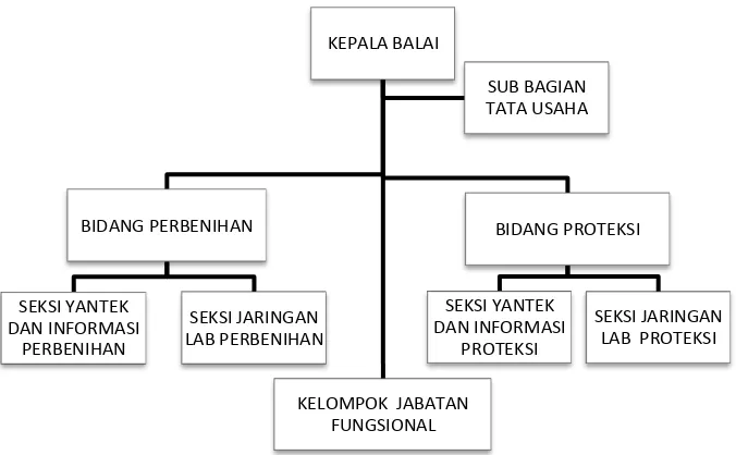 Gambar 1. Struktur organisasi BBPPTP Medan 