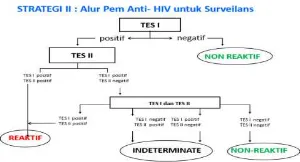 Gambar 2. Skema pemeriksaan  rapid anti  HIV 