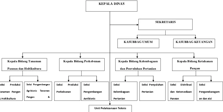 Gambar Struktur organisasi dan tata Dinas Pertanian Kabupaten Humbang Hasundutan 
