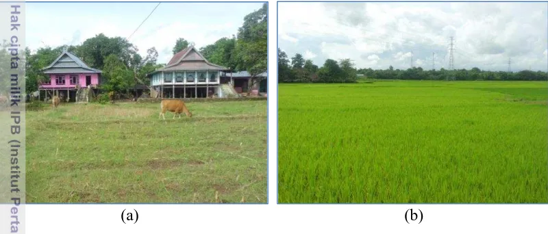 Gambar 5. Topografi Desa Pa’rappunganta, (a) Padang Penggembalaan (b) Sawah 