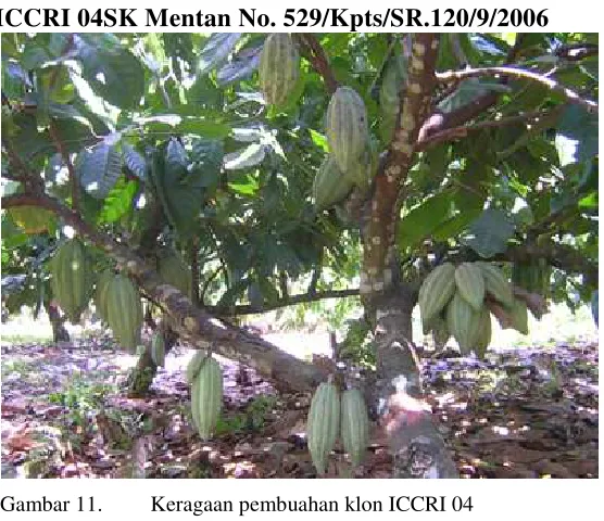 Gambar 11.  