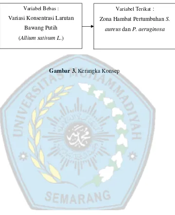 Gambar 3. Kerangka Konsep