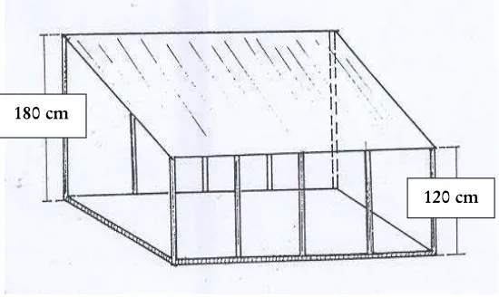 Gambar 10. Bedengan pesemaian.  