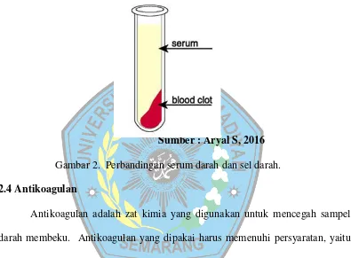 Gambar 2.  Perbandingan serum darah dan sel darah. 