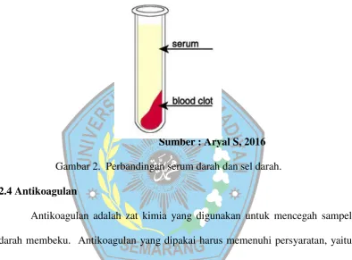 Gambar 2.  Perbandingan serum darah dan sel darah. 
