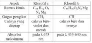 Pemisahan Pigmen Dalam Daun Dan Penetapa