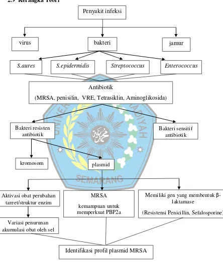 Gambar 2. Kerangka Teori Profil Plasmid MRSA 