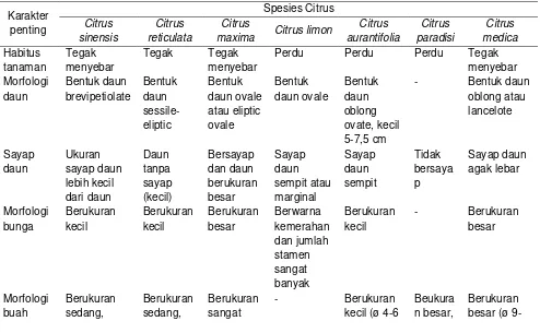 Tabel 1. Karakter penting dalam spesies Citrus 