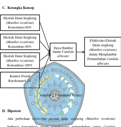 Gambar 2.3 Kerangka Konsep 