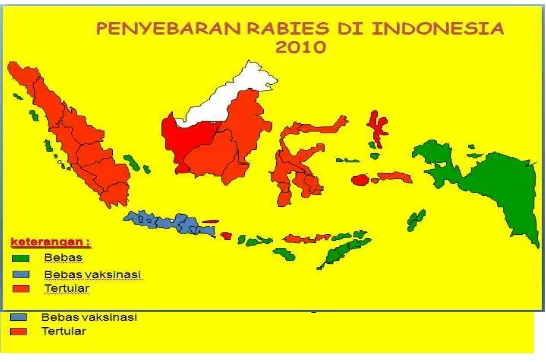 Gambar 6. Peta Penyebaran Rabies di Indonesia (Sumber : Dirjenak 2010) 